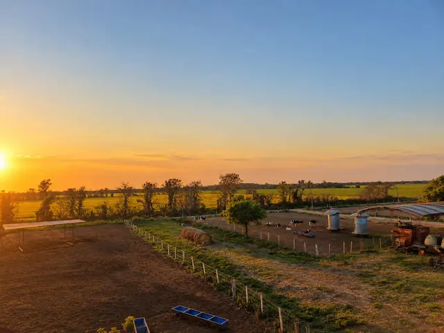 Feedlot de Protambo