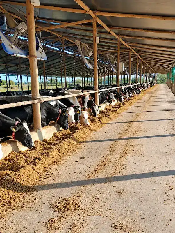 Producción integrada en el campo